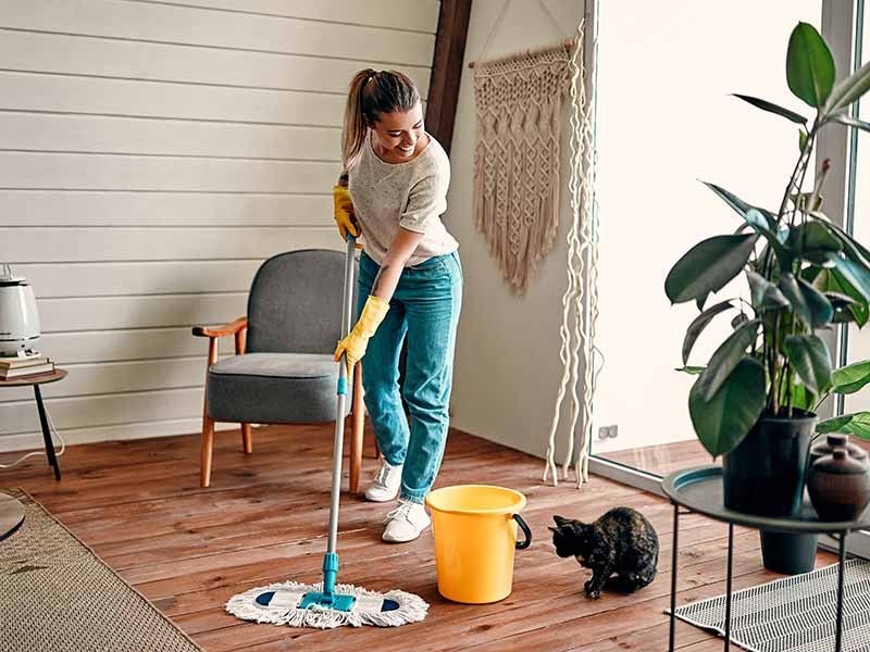 Benefits of Professional Cleaning Services